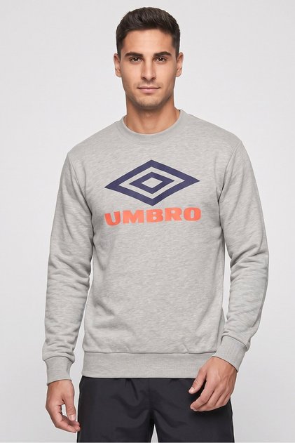 Men Sportswear Fit Brand Logo Outdoor Sweatshirt, Grey