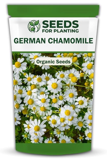 German Chamomile Seeds for Planting, Chamomile Flower & Herb Seeds for Home Garden, Pots, Containers