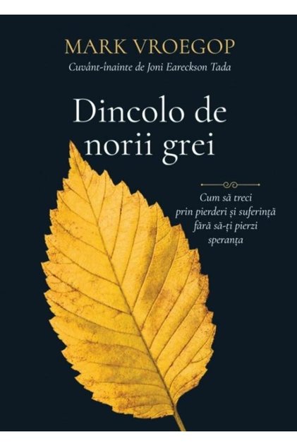 Dincolo de norii grei. Cum sa treci prin pierderi