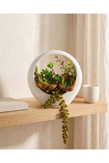 Succulent with Ceramic Pot