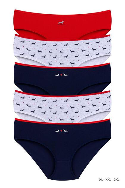 Women's Laundry Cotton Colorful Concept Printed Batu Panties 5-Pack (Xl-Xxl-3Xl)