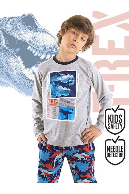 T-rex Info Boy's T-shirt Trousers Set