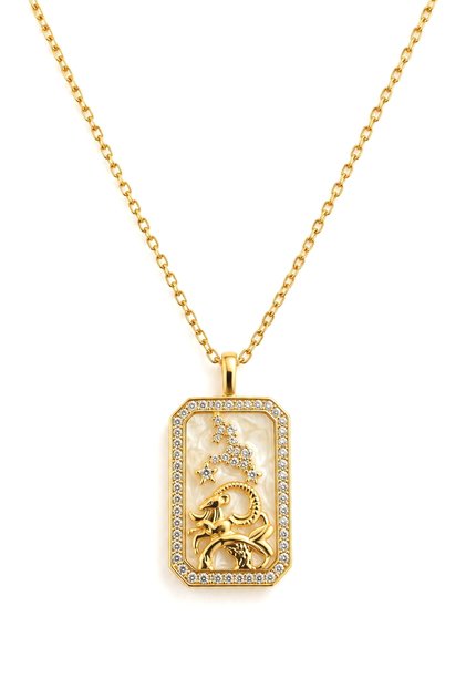 Women's Steel Necklace Zodiac Sign Series Mother of Pearl Plate Capricorn Sign Necklace