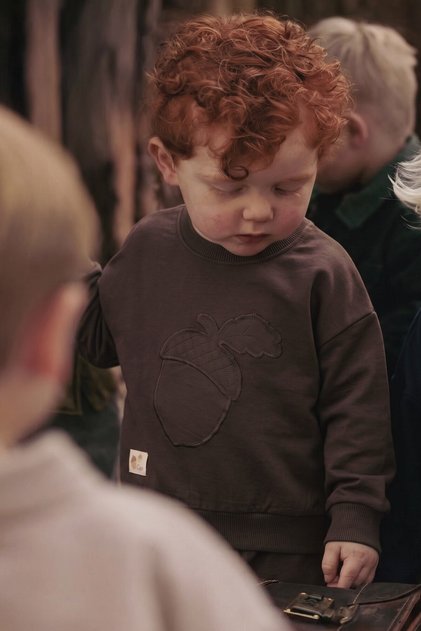 Thin Seasonal Sweatshirt 1-7 Years Old Brown