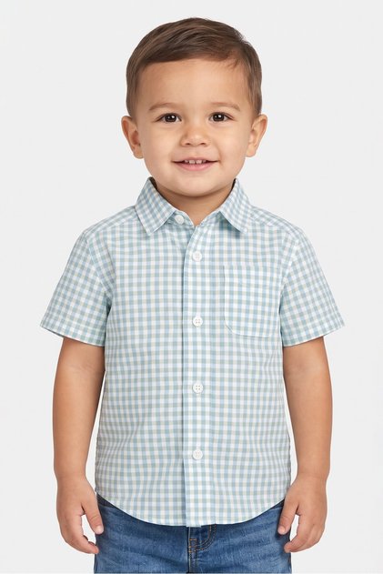 Toddlers Boy Micro Check Short Sleeve Casual Shirt, Multicolor
