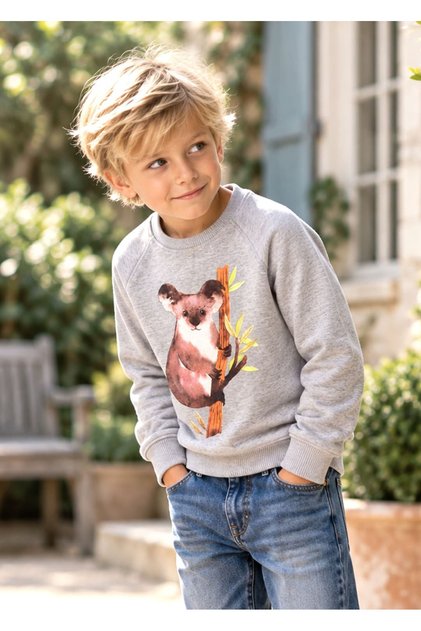 Organic Koala Printed Gray Winter Boys' Sweatshirt