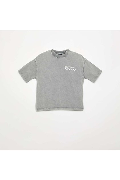 Embroidered And Printed Short-Sleeved T-Shirt Grey