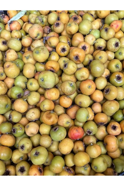 Alıç Meyvesi 1 kg