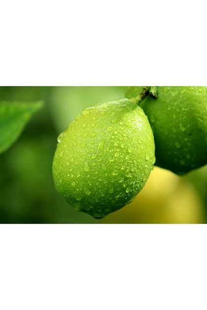 5 Adet Lime Limon