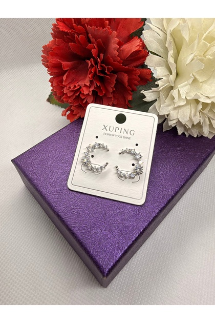 Zircon Stone Silver Color C Model Steel Earrings