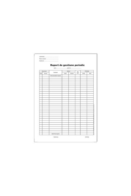 RAPORT DE GESTIONARE PERIODIC