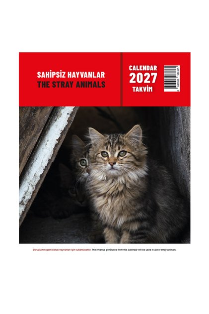 2027 Duvar Takvimi