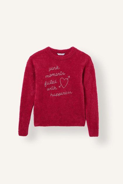 Crew Neck Letter Embroidered Sweater for Girls I5012A826Wn