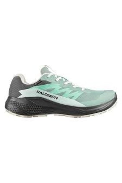 Alphaglıde Gtx W Green Milieu/Asphalt/Clearly Aqua Women's Running/Fitness Shoes L49142500