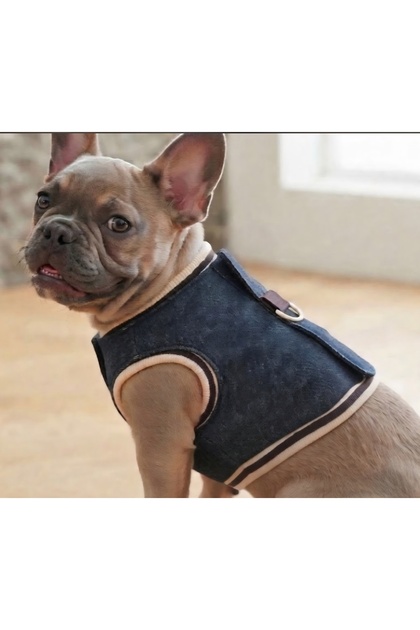 Cat Dog Outfit Crop Jeans Walking Outfit