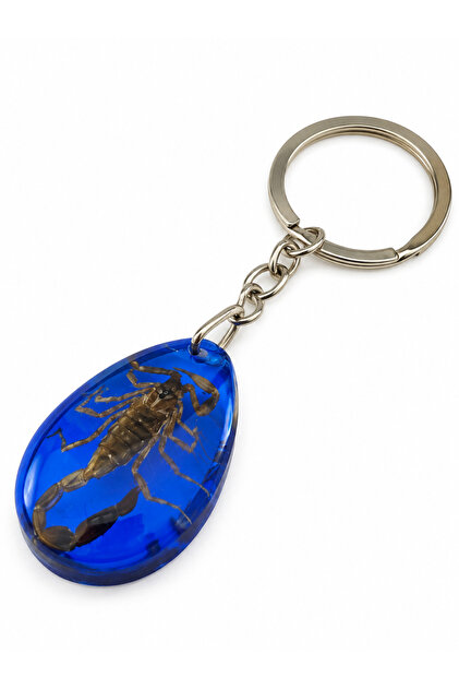 Scorpion fossil keychain
