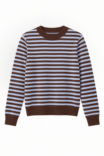 Women's Knitwear Brown Baby Blue Striped Crew Neck Soft Textured Sweater