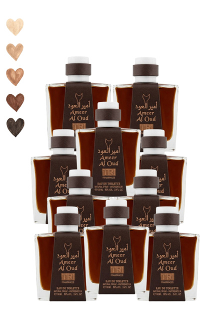 10 قطع عطر Ameer Al Oud 100 مل