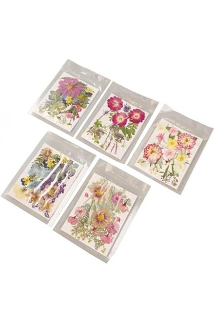 Pressed Flowers Bulk Dried Flowers, Edible Flowers, Vibrant Rich Details Multi Purpose Colorf