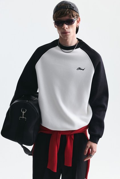 Color Block Crew Neck Sweatshirt