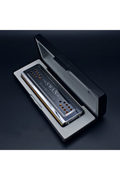 Silver SWAN 24 Hole Tremolo Harmonica Polyphonic Double-side C/G Key Harmonica Suitable For Music En