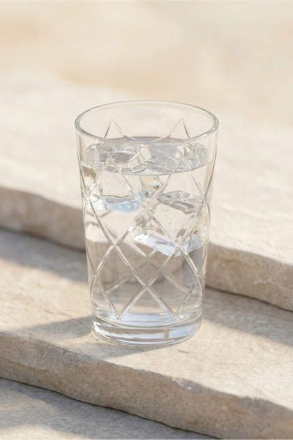 Seasonal Glass Water Cup Set of 6 205 ml