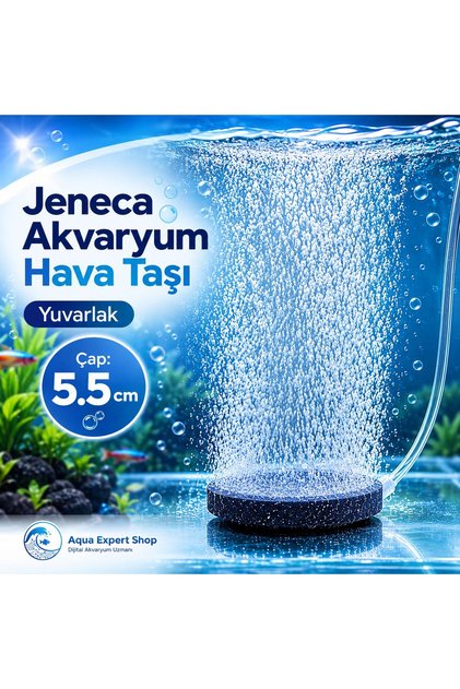Akvaryum Hava Taşı - Yuvarlak - 5.5 cm - Güçlü Hava Çıkışı - Uzun Süreli Kullanım