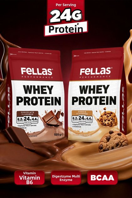 Whey Protein Powder | 24 g Protein 30 Servings | Trial Pack of 2 (525g X 2)