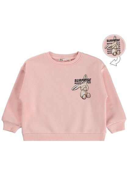Rabbit Printed Sweatshirt for Ages 2-5 - Pink