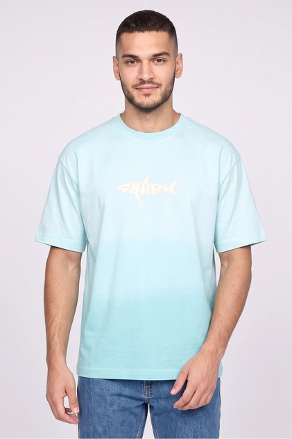 Men Crew Neck Short Sleeve Graphic Print T-Shirt, Aqua