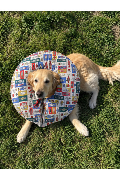 Post-Operation Fabric Elizabeth Collar-Neck Collar with Sponge Padding for Large Breed Dogs