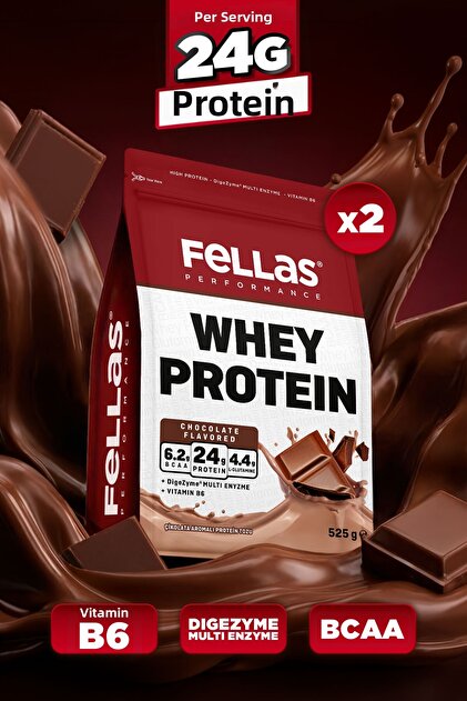 Whey Protein Powder | 24 g Protein 30 Servings | Chocolate Flavored (525 g) X 2