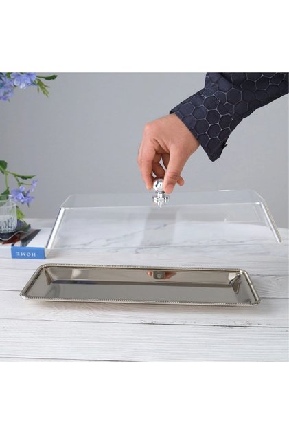 Stainless Steel Tray with Acrylic Lid Rectangular - Transparent Silver - 39X14X10 cm