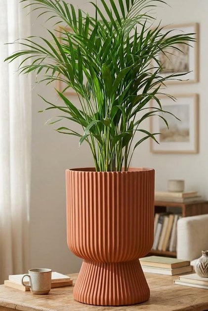 1 Adet 5 Litre Büyük Boy Çizgili Ayaklı Saksı - Lotus 2 No (Deliksiz Bir Saksıdır)