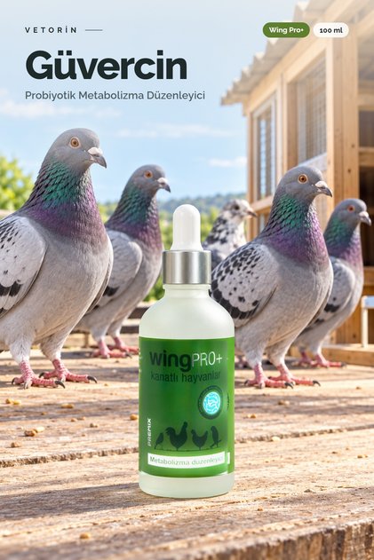 Güvercin İçin Probiyotik Damla 100 ml | Kuş Sindirim Desteği, Suya ve Yeme Katılır - Wing Pro+