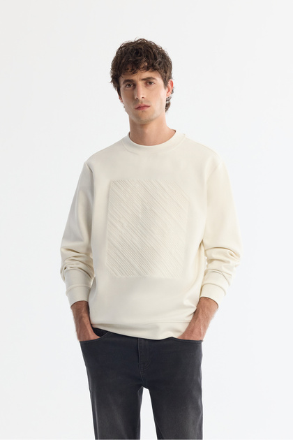Erkek Ekru Bisiklet Yaka Pamuklu Baskılı Elastan Regular Fit Sweatshirt A42Y1243