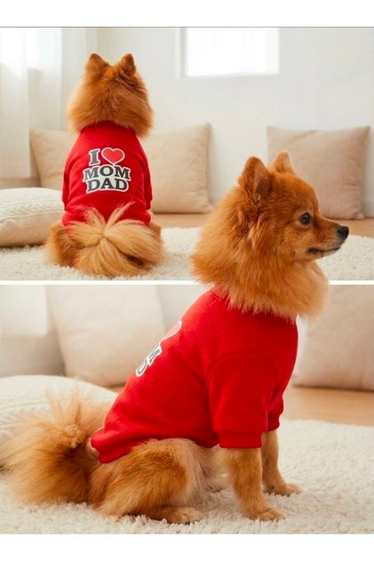 Dog Cat Red Mom Dad Sweat