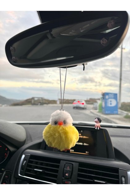 Car Rear View Ornament Chick Rear View Ornament Duck Rear View Ornament Auto Pendant