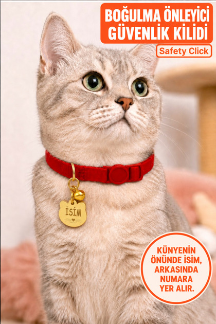 İSİMLİ KEDİ TASMASI KEDİ İSİMLİK KİŞİYE ÖZEL-GÜVENLİK KİLİTLİ- EKO SERİSİ