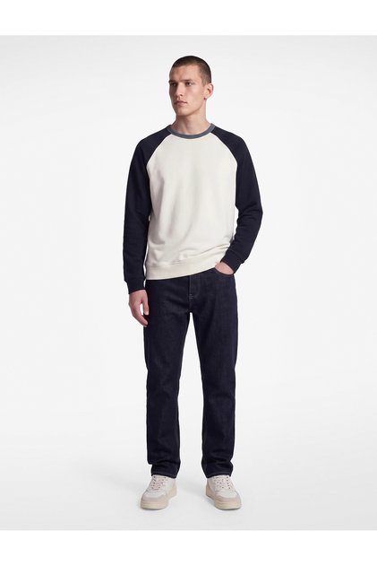 Cotton Shaded Color Contrast Crew Neck Long Raglan Sleeve Sweatshirt