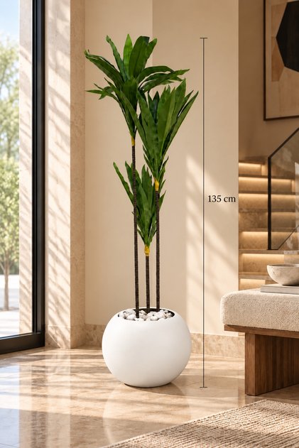 Three-Branch Drasena Tree 135 cm Long with a Solid Core