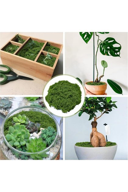 1kg (1000g) Algae Grass Gives You Year-Round Enjoyment of Vegetables, Suitable for Swimming Pools and Gardens, Large Size