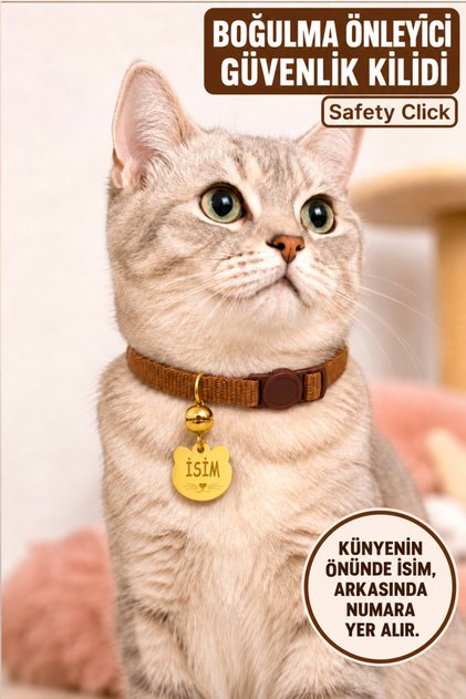 İSİMLİ KEDİ TASMASI KEDİ İSİMLİK KİŞİYE ÖZEL-GÜVENLİK KİLİTLİ- EKO SERİSİ