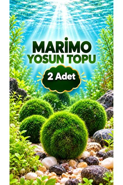 2 ADET Marimo Yosun Topu 2-4 Cm