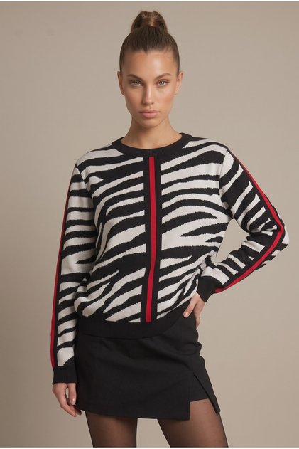 Women's Premium Zebra Patterned Stripe Detailed Knitwear Sweater