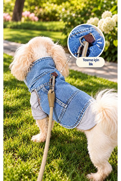 Köpek Kedi Kot Ceket Yelek Kıyafet