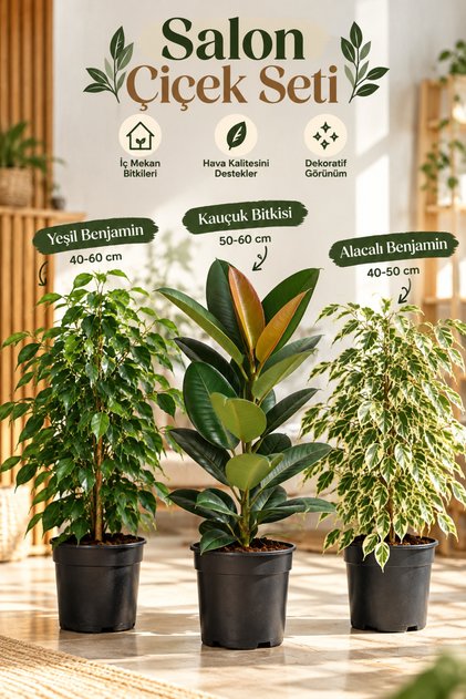 Salon Çiçek Seti Yeşil Benjamin (40-60cm)-Kauçuk (50-60cm)-Alacalı Benjamin Çiçeği (40-50cm)