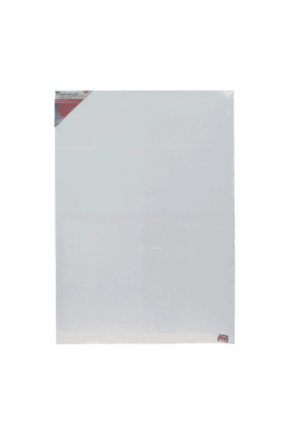 Panza pictura pe sasiu 70x100CM