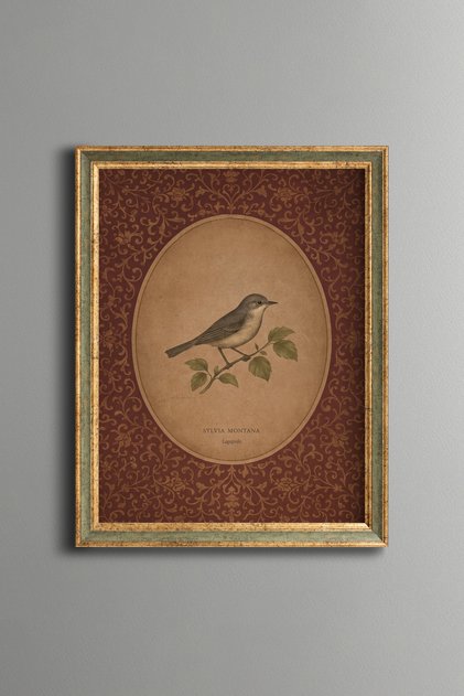 Oval Bird Illustration on a Burgundy Patterned Background - Vintage Patterned Painting - Fine Model