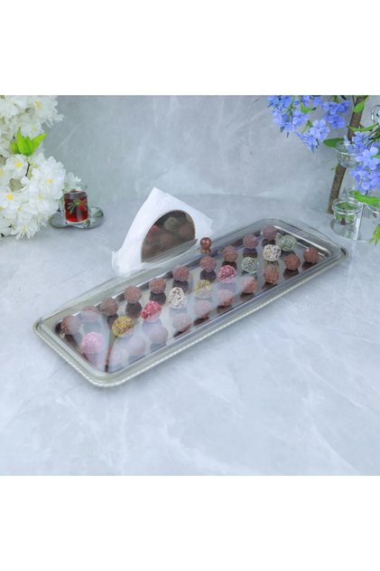 Elegant Design Stainless Steel and Acrylic Serving Tray with Lid - Silver and Transparent - 20X50X12Cm